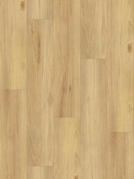 Product Main Thumbnail