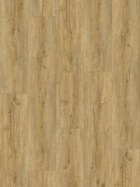 Product Main Thumbnail