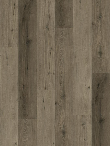 Product Main Thumbnail
