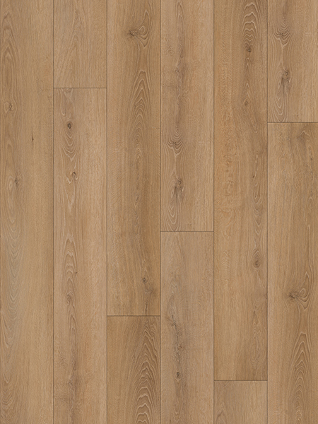 Product Main Thumbnail