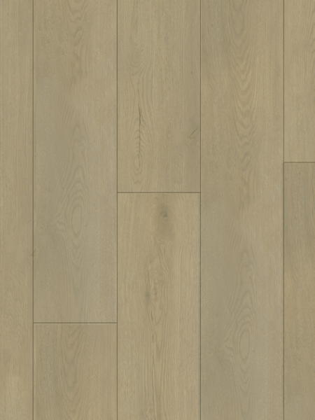 Product Main Thumbnail