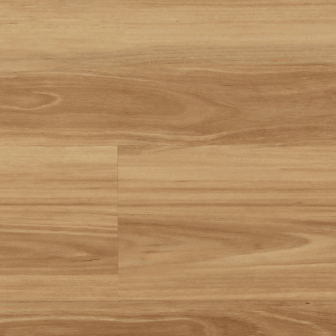 Image of New England Blackbutt