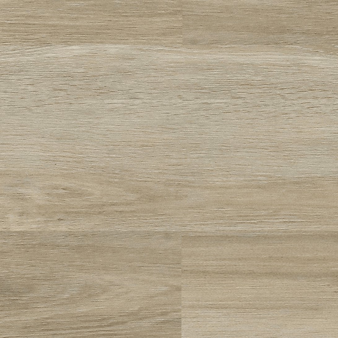 Image of Royal white oak